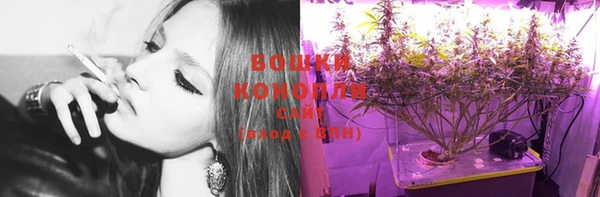 мдпв Вязники
