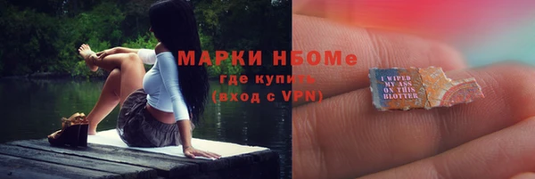 индика Пестово