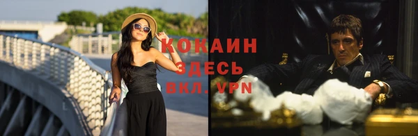 мдпв Вязники