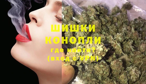 мдпв Вязники