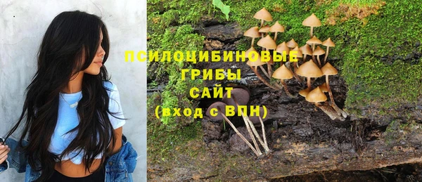 прущие крисы Верхний Тагил