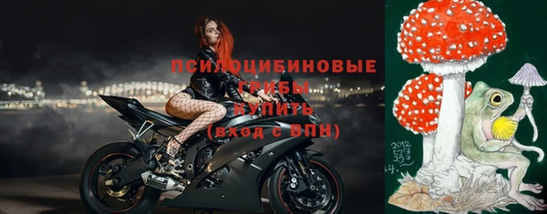 мдпв Вязники