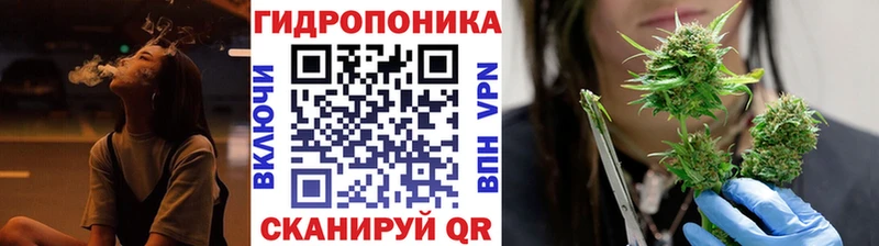Бошки Шишки ГИДРОПОН  где найти   Заозёрный 